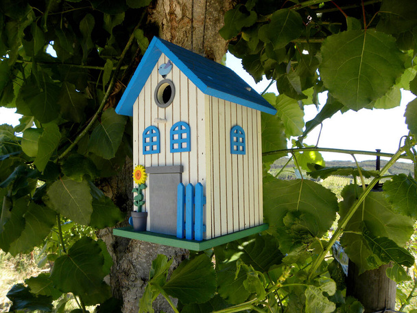     Cute blue and white decorative birdhouse in the branches of a tree.                            - Photo, Image