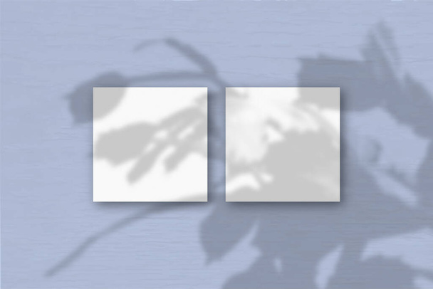 2 τετράγωνα φύλλα λευκού χαρτιού στο φόντο του μπλε τοίχου. Mockup επικαλύπτονται με τις σκιές των φυτών. Το φυσικό φως ρίχνει σκιές από έναν ζυγωματικό κάκτο. Επίπεδη θέα. Οριζόντια κατεύθυνση - Φωτογραφία, εικόνα