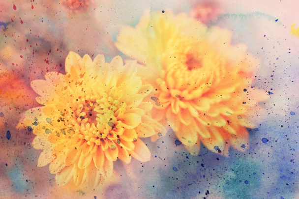 Scenic artwork with yellow asters and watercolor - Foto, immagini