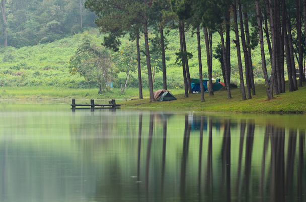 Camping ambiente matutino en un lago en el bosque de pinos
 - Foto, Imagen