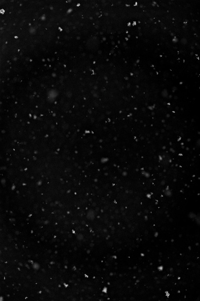 Falling snow background - Zdjęcie, obraz