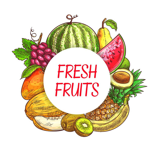 Fresh fruits sketch poster, farm market and tropical garden vector harvest. Hand drawn juicy pineapple, banana and watermelon, kiwi, melon and avocado, tropic mango, grape and pear - Vektör, Görsel