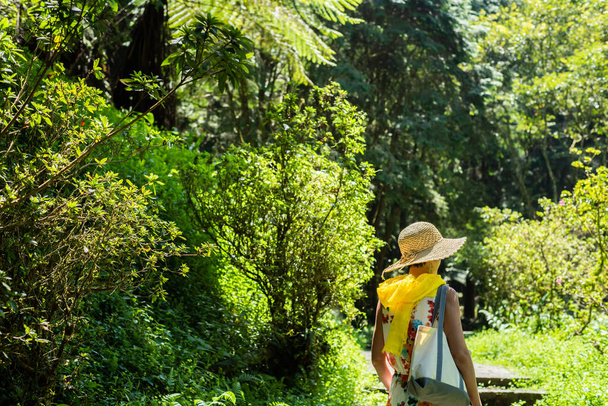 viajando mulher asiática caminhadas na floresta em Xitou, Nantou, Taiwan - Foto, Imagem
