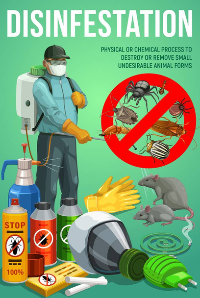 Dezinfestační služba, ochrana proti škůdcům, deratizace a dezinfekční vektorový plakát hmyzu. Potkani a myši hubení škůdci, domácí hmyz, brouci a paraziti chemické fumigace - Vektor, obrázek