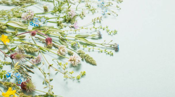 different  wild flowers on paper background - Valokuva, kuva
