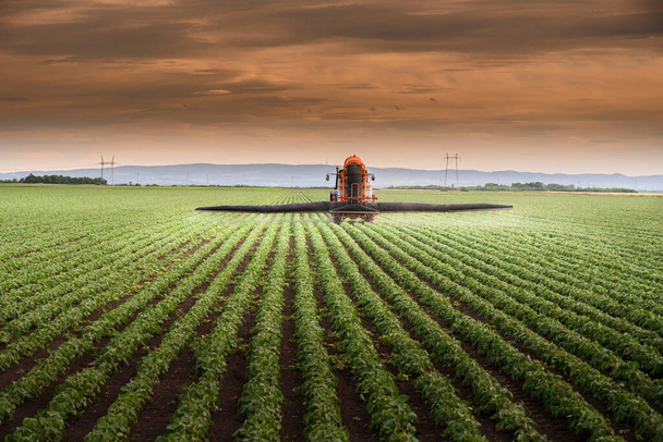 Пестициды трактора на соевом поле с распылителем весной - Фото, изображение