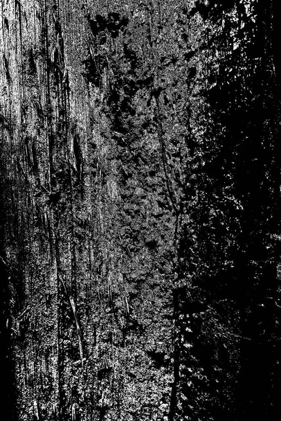 термитный рисунок в дереве - Фото, изображение