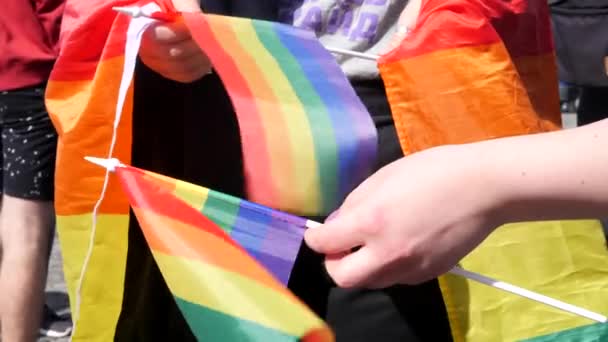 Bandera colorida del orgullo del arco iris en manos humanas
 - Imágenes, Vídeo