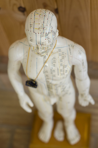 Acupuncture statue showing meridians - Photo, Image
