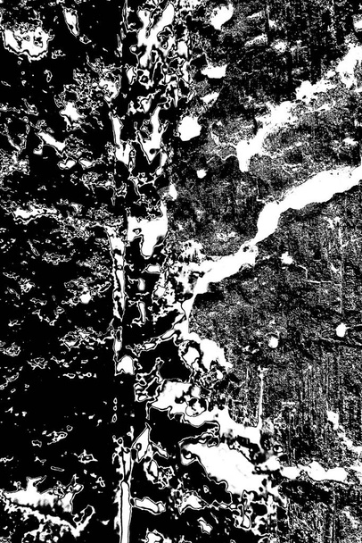 木材中のシロアリのパターン - 写真・画像