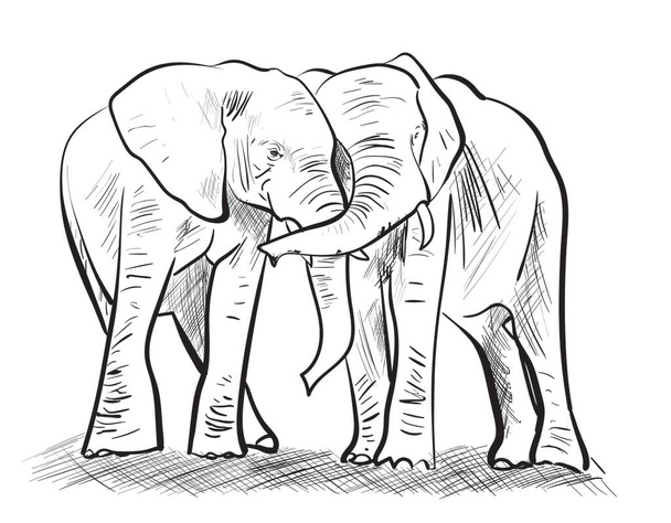 an illustration of big elephants - Vector, Image
