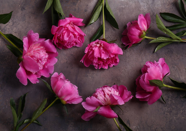 csendélet bazsarózsa virágok háttér és dekoráció - Fotó, kép