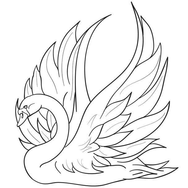 sketch of a beautiful swan with beautiful wings, coloring book, isolated object on a white background, vector illustration, eps - Vektör, Görsel