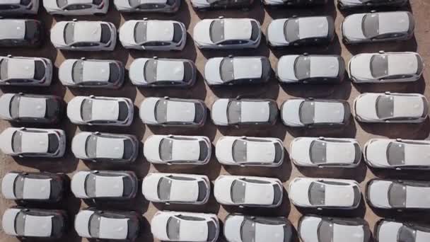 Νέα αυτοκίνητα καλυμμένα με προστατευτικά λευκά φύλλα σταθμευμένα σε πλατφόρμα συγκράτησης. - Πλάνα, βίντεο