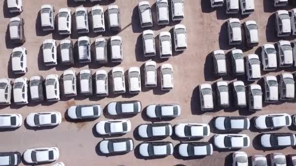 Nieuwe auto 's bedekt met beschermende witte lakens geparkeerd op een perron. - Video