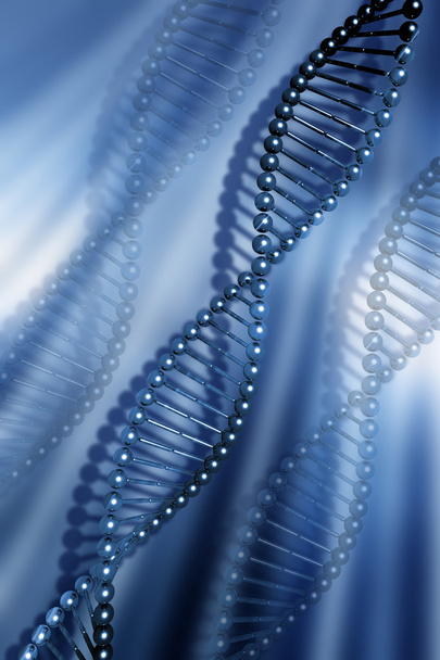 DNA strands - Photo, Image