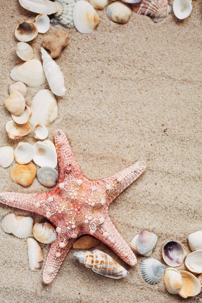 Beach and Summer background - Close up of starfish and seashells on sand background - Photo, Image