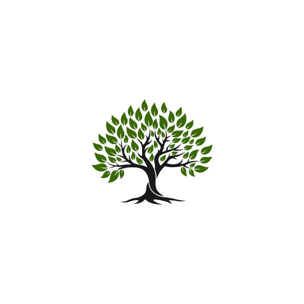 Wurzel des Baumes Logo-Illustration. Vektorsilhouette eines Baumes. - Vektor, Bild