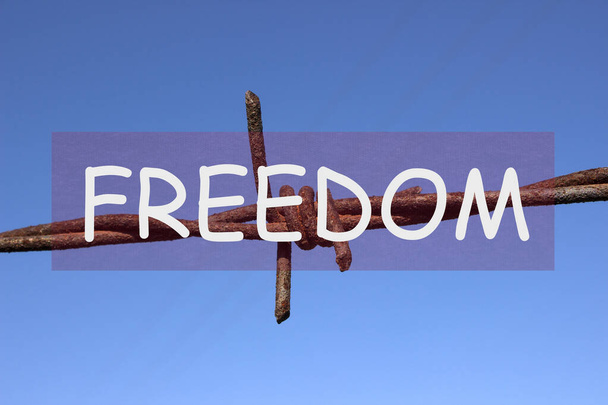 Het woord vrijheid over prikkeldraad op hemelse achtergrond. - Foto, afbeelding