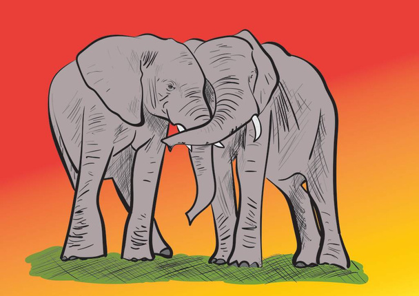 sloni izolované na bílém pozadí - Vektor, obrázek