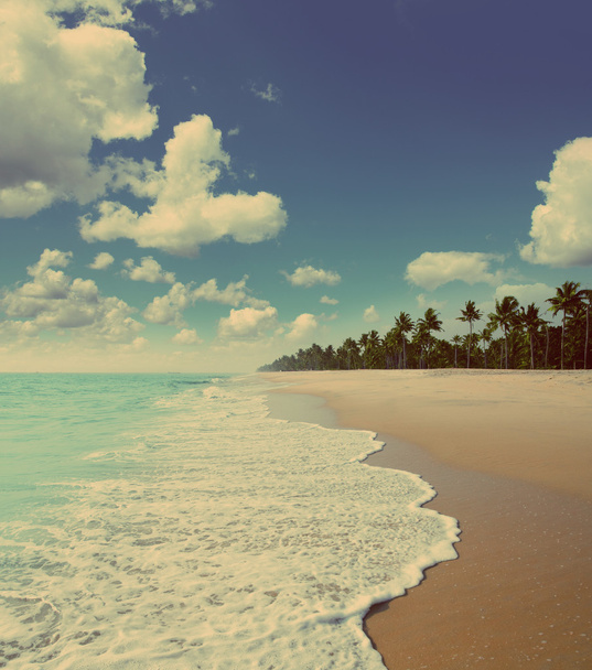 пляжний пейзаж вінтажний ретро стиль
 - Фото, зображення