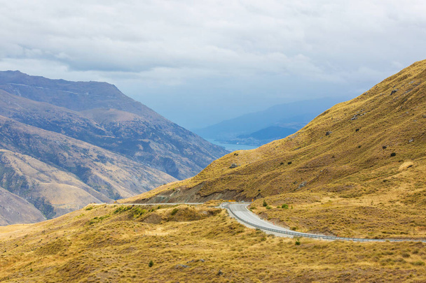 ニュージーランドの美しい田園風景-緑の丘と木 - 写真・画像