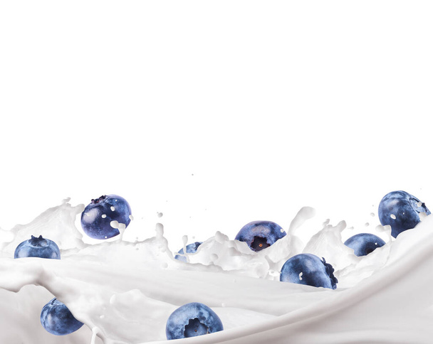 Le bleuet frais tombe dans le lait ou le yogourt isolé sur fond blanc. Éclaboussures de lait ou de yaourt, délicieux liquides et baies avec un espace vide pour les utilisations de conception - Photo, image