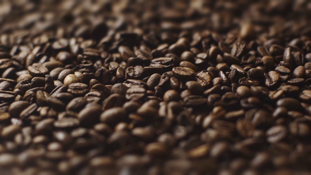 selective focus of aromatic and roasted coffee beans - Footage, Video
