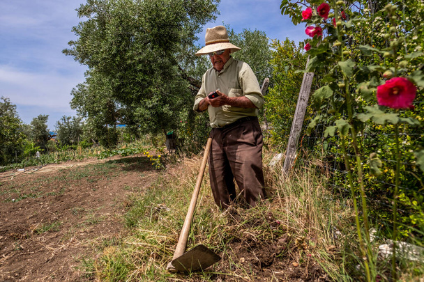 Hasır şapkalı ve gömlekli yaşlı İspanyol adam sebze bahçesindeki çapayı yere sürüyor. Bir telefon görüşmesi yapıyor.. - Fotoğraf, Görsel