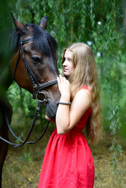 Außenporträt einer jungen schönen Frau mit Pferd. Vor dem Hintergrund eines Baumes. - Foto, Bild
