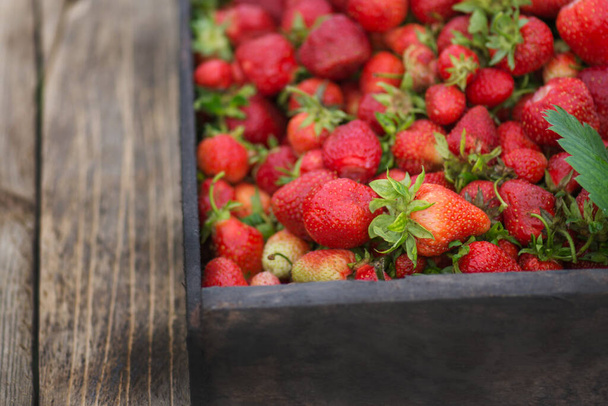 Φράουλα στην υπαίθρια λαϊκή αγορά. Φράουλες σε έκθεση στην υπαίθρια τοπική αγορά. Κλείσιμο φραουλών σε εξωτερικούς χώρους - Φωτογραφία, εικόνα