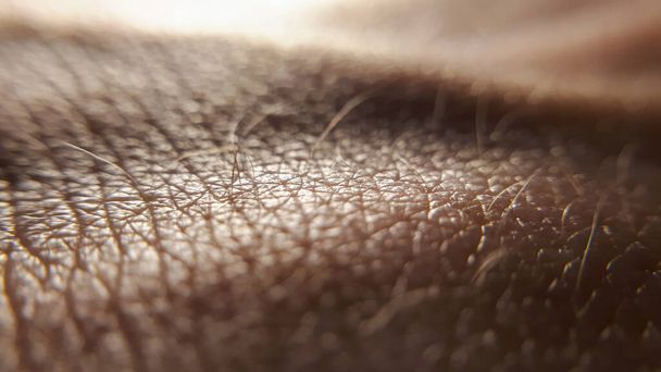 Κοντινό καφέ χέρι δέρματος. Μάρκο ανθρώπινο δέρμα. Καθαρό και υγιές δέρμα σώματος φόντο - Φωτογραφία, εικόνα