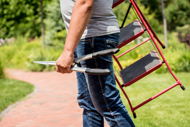 Professional gardener goes to cut trees with garden scissors and ladder - Photo, Image