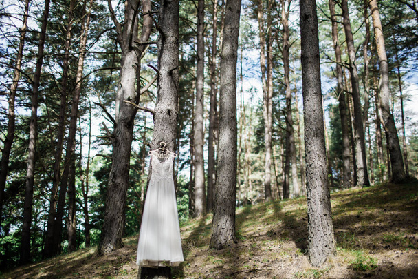 Hochzeitskleid hängt an einem Baumstamm. Auf einem Kleiderbügel mit der Aufschrift Braut. - Foto, Bild