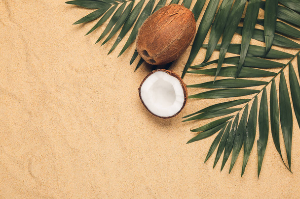 Coconut with palm leaves on sand background - Fotó, kép