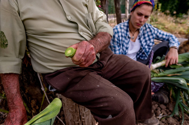 Ο γέρος με το ψάθινο καπέλο κόβει λαχανικά καθισμένος στο κούτσουρο ενώ η εγγονή του τον βοηθάει. - Φωτογραφία, εικόνα