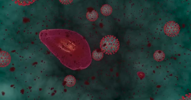 高濃度コロナウイルス病Covid-19.ウイルスと赤血球のアニメーショングループは、顕微鏡下で閉じます。3Dレンダリングビデオ4k - 映像、動画