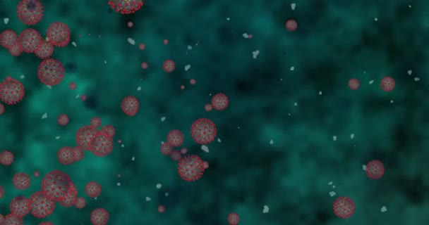 Cellule di coronavirus COVID-19 Malattia infettiva. Rapida trasmissione della malattia. Alta concentrazione di coronavirus. Ciclo di rendering 3D 4k
 - Filmati, video