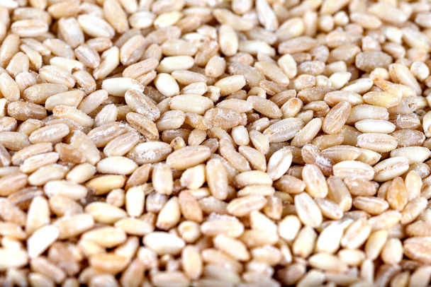 Wheat grains, food background - Φωτογραφία, εικόνα