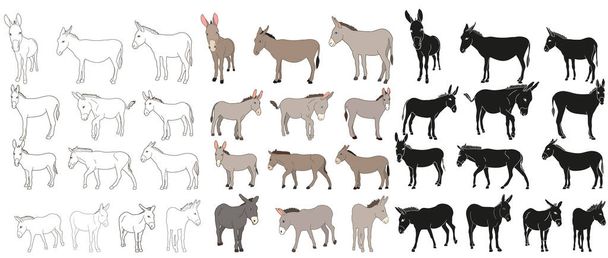 vector isolated donkey, mule, outline, collection of silhouettes - Vector, Image