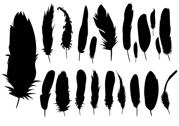 vector, isolated silhouette of a feather, collection - Vector, Image