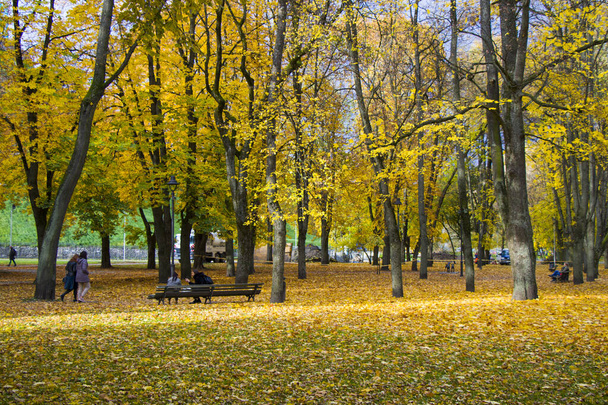 Vilnius, Autumn 'un şehir merkezindeki ünlü park ve güz ağaçları ve yaprakları. Litvanya - Fotoğraf, Görsel
