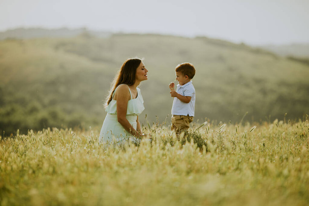 Jonge zwangere moeder met haar schattige kleine jongen in het veld op mooie zomerdag - Foto, afbeelding