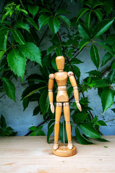 small wooden figure standing in front of grey wall and plant - Foto, Imagem
