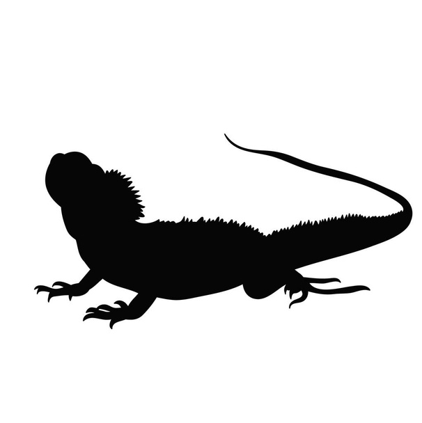 silhouette noire d'iguane - Vecteur, image
