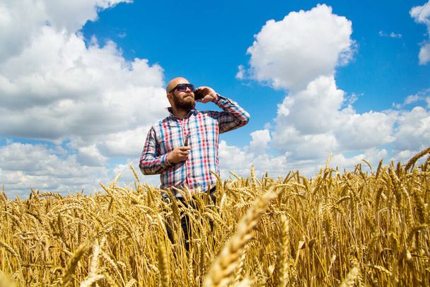 Bauernruf in einem reifen Weizenfeld mit blauem Himmel, große Ernte - Foto, Bild