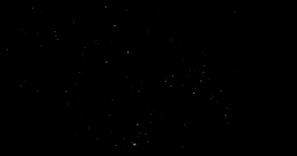 Particules de poussière abstraites volantes sur fond noir - Séquence, vidéo