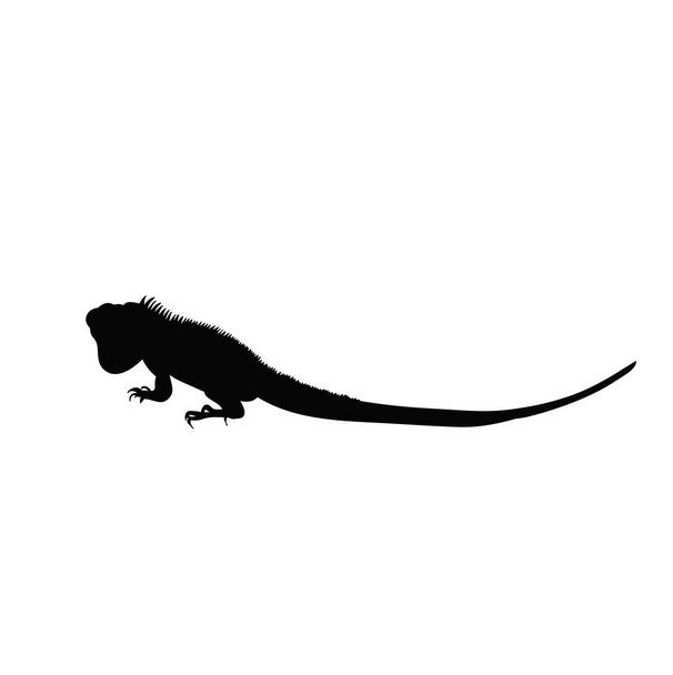 isolierte schwarze Silhouette des Leguans - Vektor, Bild