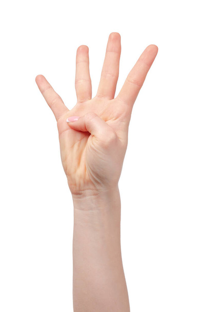 Female hand showing four fingers on white background - Zdjęcie, obraz