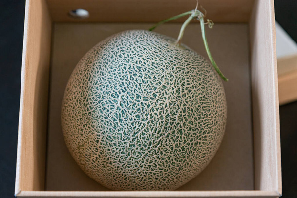 Lähikuva korkealaatuisesta orgaanisesta melonin kasvusta japanilaisen puutarhurin lasitalossa lahjaksi erityiselle henkilölle Yubari Japan. - Valokuva, kuva